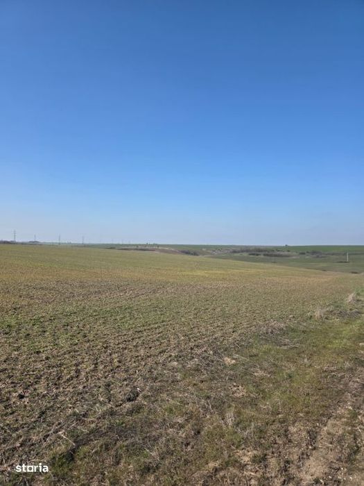 Teren intravilan, 7500 mp, Mischii