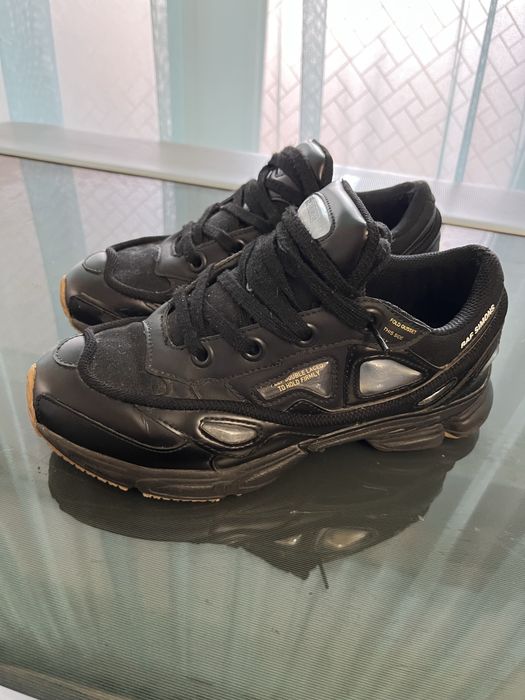 Raf simons ozvigi 3