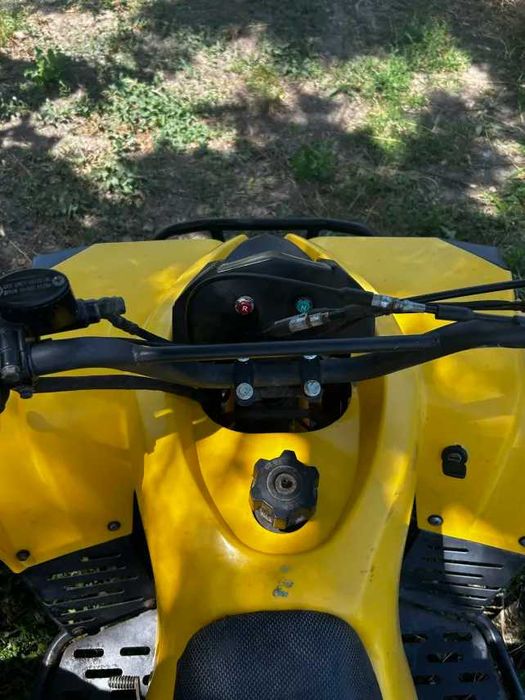 Atv 125CC Renegade