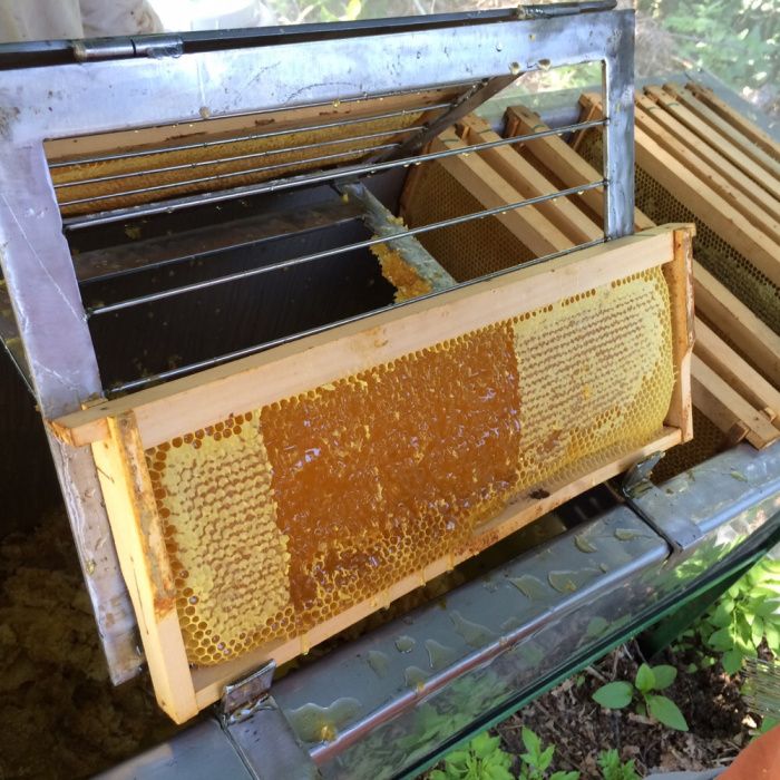 Vând capaceală….