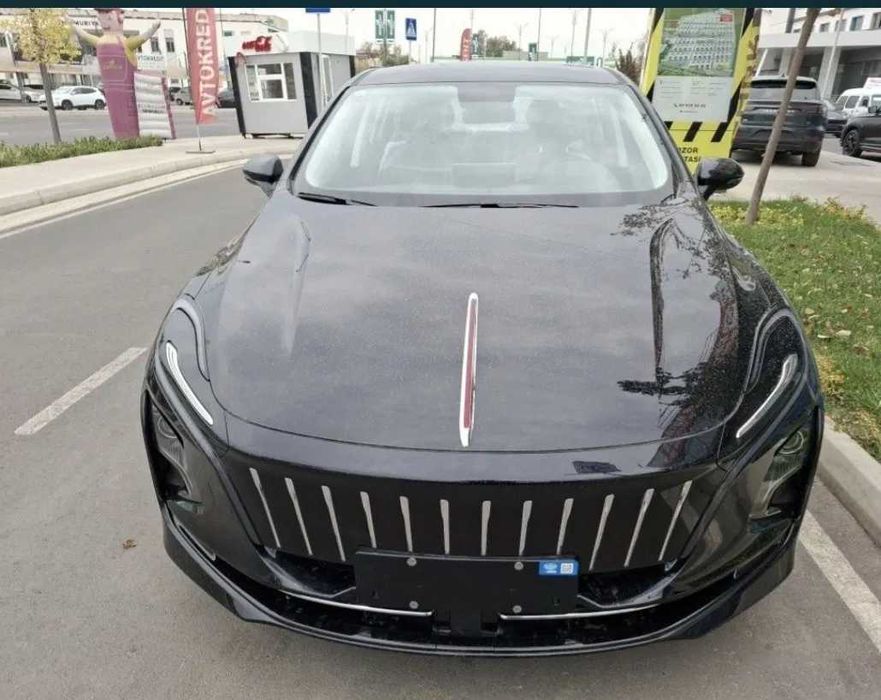 Hongqie E-QM5 500km pod zakaz