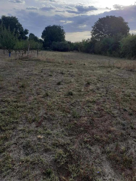 Продава парцел (дворно място), с. Певец, област Търговище