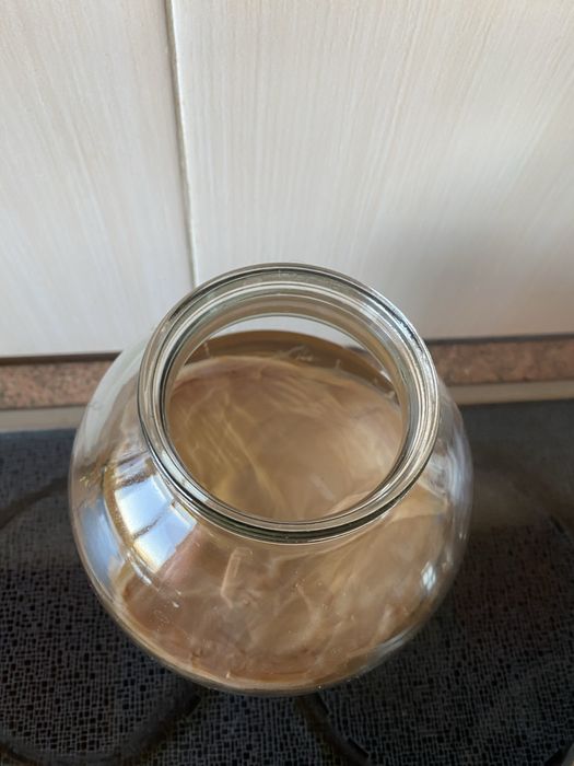 Продам чайный гриб