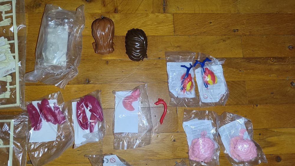 Corpul Omenesc colecție