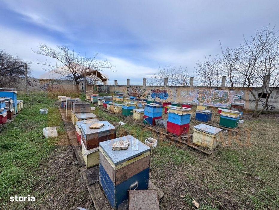 Teren intravilan Poarta 6 | 465 mp | Utilitati | Vedere port