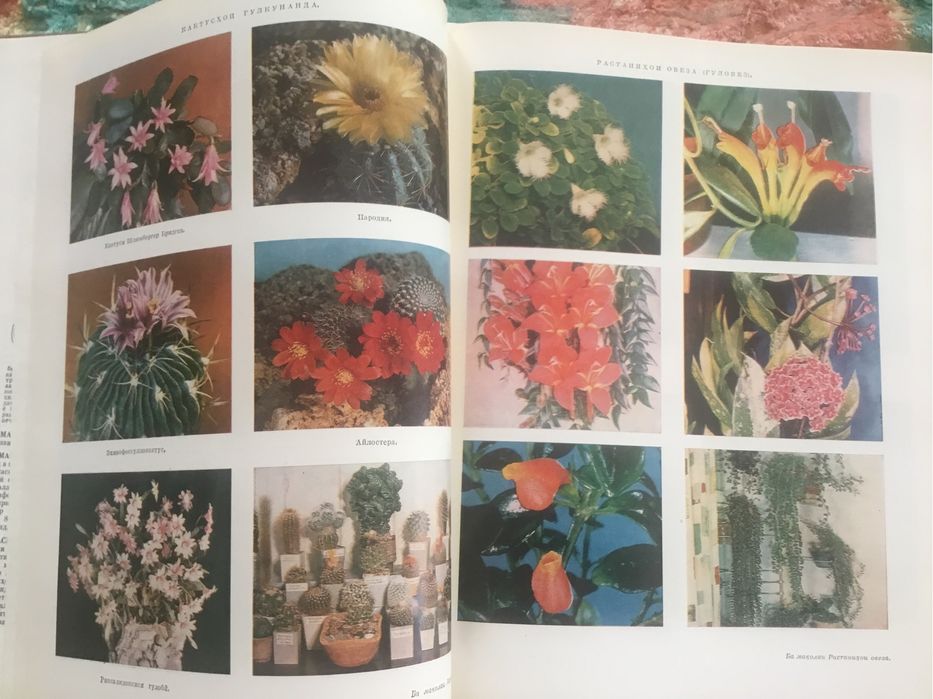 Домашняя энциклопедия на таджикском языке.