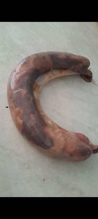 Тараздын казылары сатылады