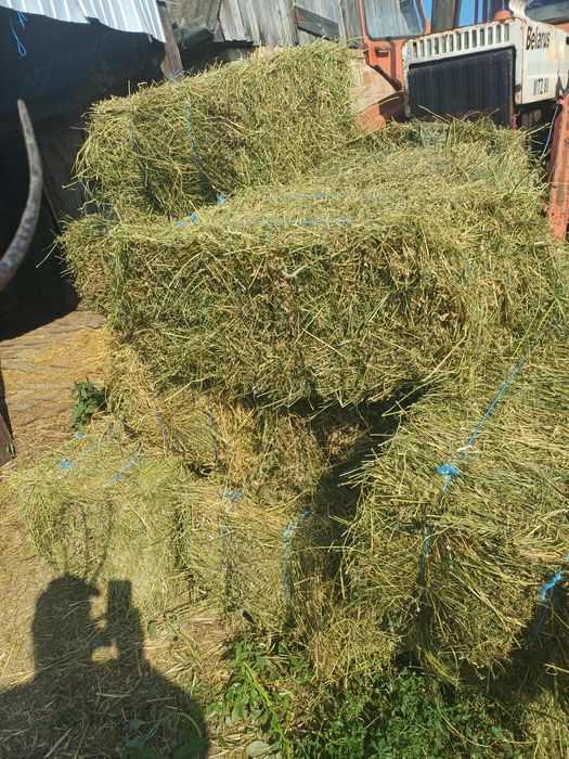 Baloti dreptunghiulari