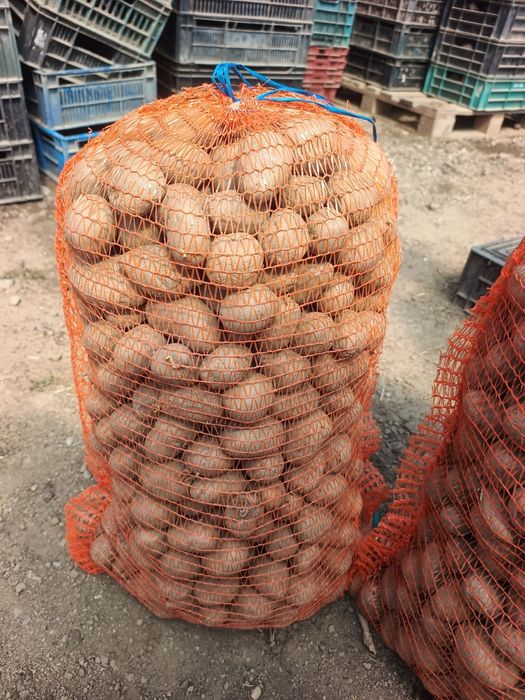 Vând cartofi pentru animale