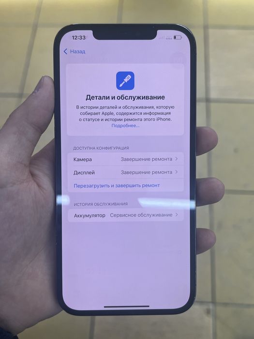 12 pro max EAC s korobka