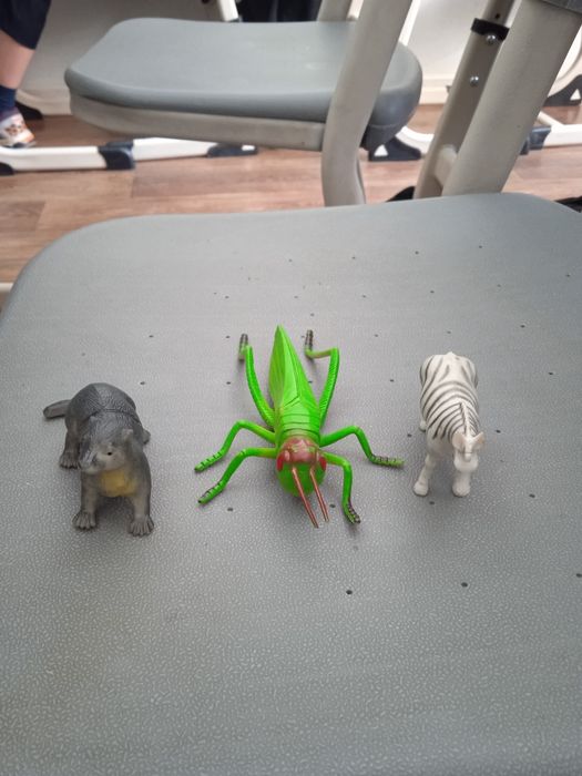 Ребезены послушные несут удачу