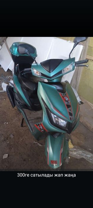 Скутер новый документі бәрі бар.