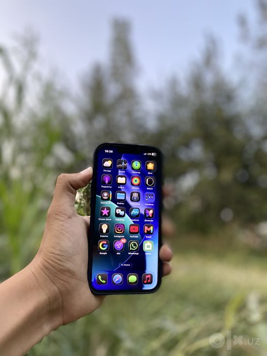 iPhone 13 hamma joyi radnoy
