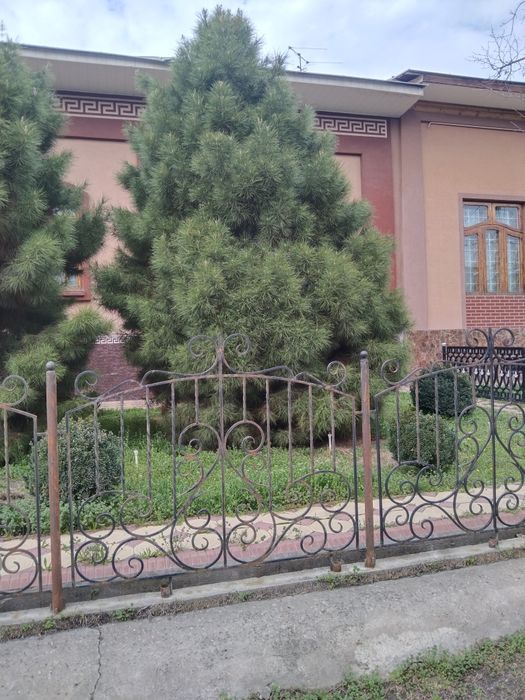 Арча ва Дарахт дорилаш (зараркунанда ларни екотиш) , боғдорчилик хизма