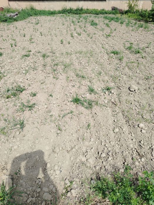 Ер участка сотилади