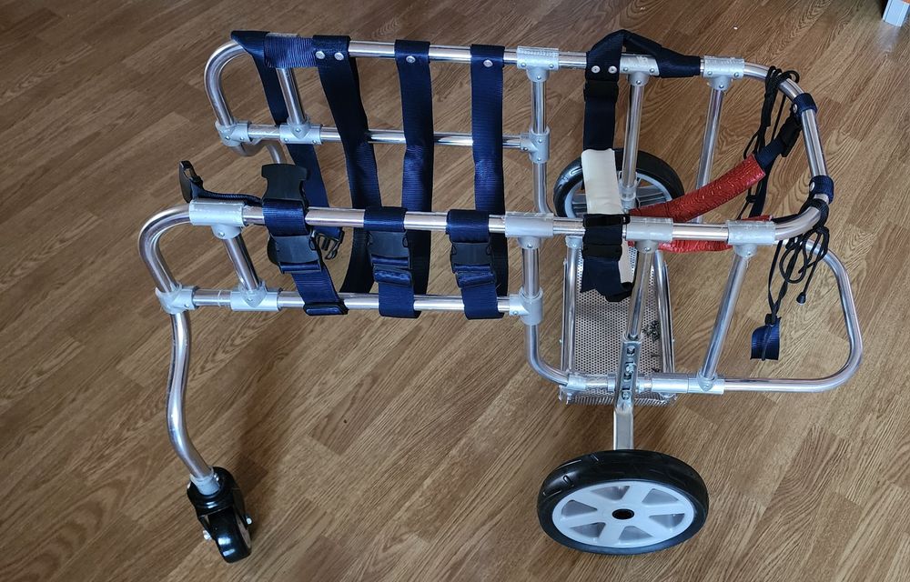 Cărucior ortopedic pentru câini de talie medie labrador, retriever...