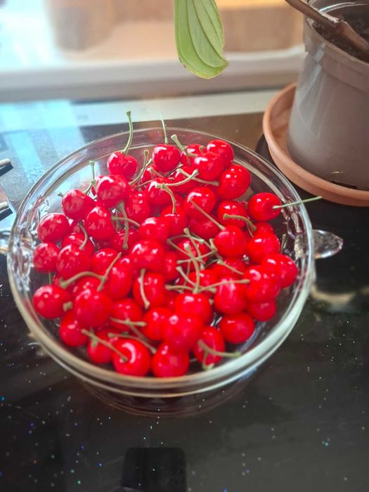 Стъклени и кристални фруктиери