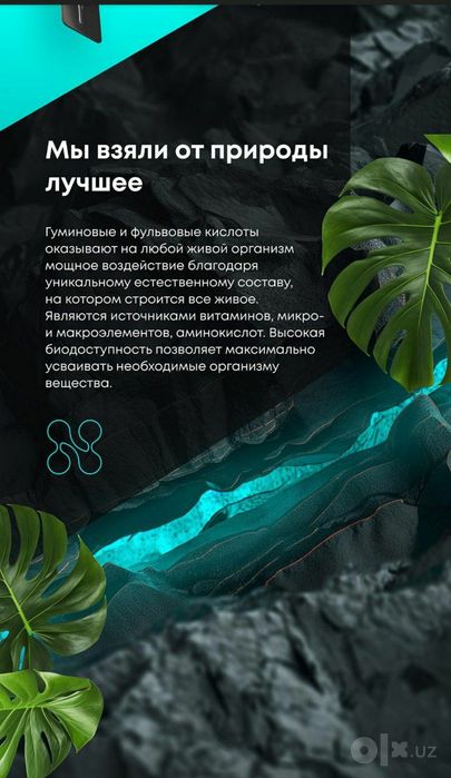 Природный иммунноактиватор BioDrone иммунитет кутарувчи махсулот