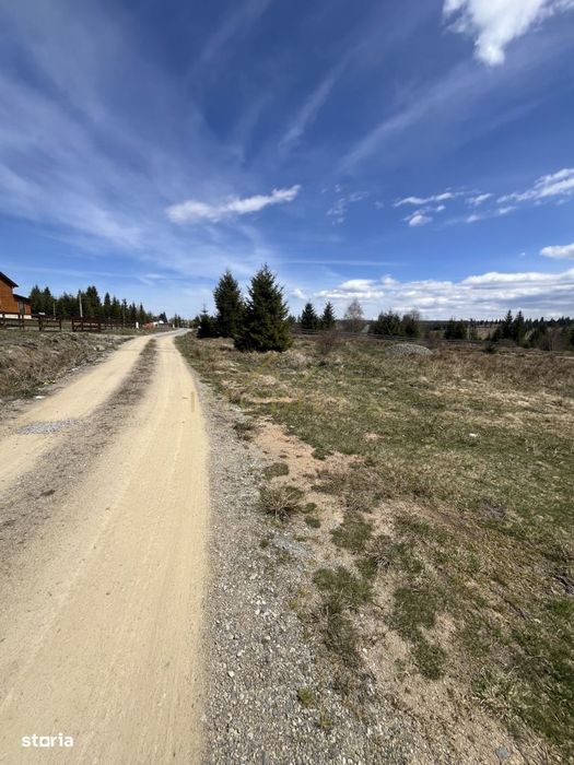 Teren intravilan de 1200 mp , in Belis
