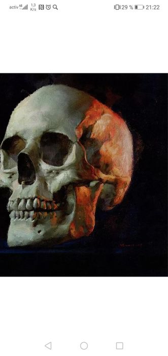 Череп. Черепа. Черепушки.