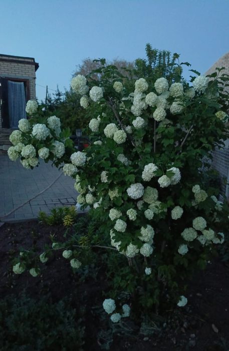 Продам (таунхаус) 5 А микрорайон