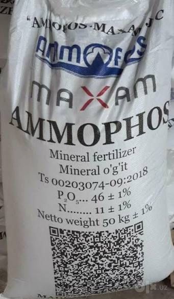 Ammafos Olmaliqniki