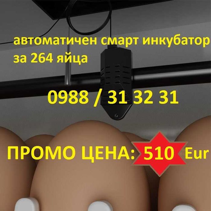 Промо! Автоматичен смарт инкубатор 264 яйца, професионална серия