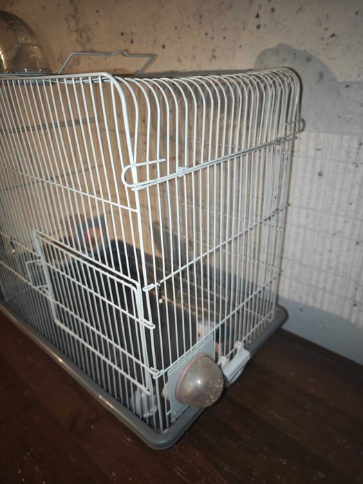 Клетка бу станция метро Москва