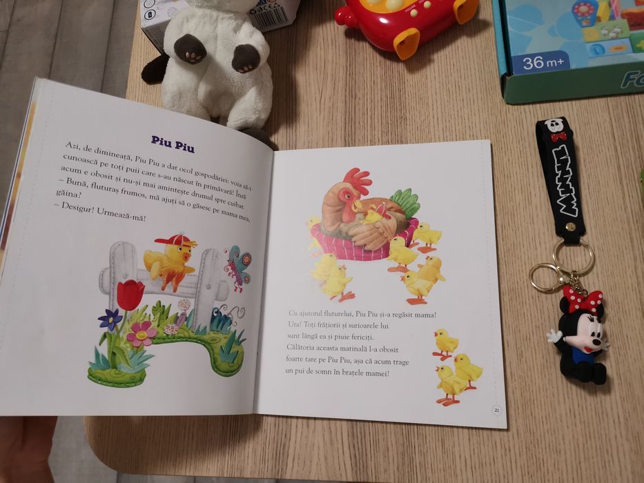 REZERVAT Lot jucării și cărți