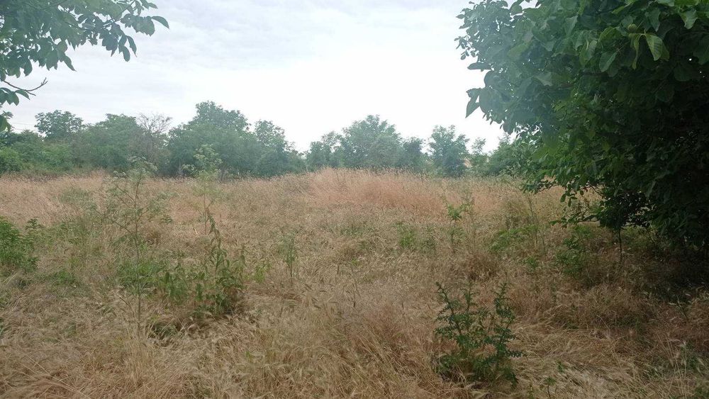 Парцел в село Марково, Шумен