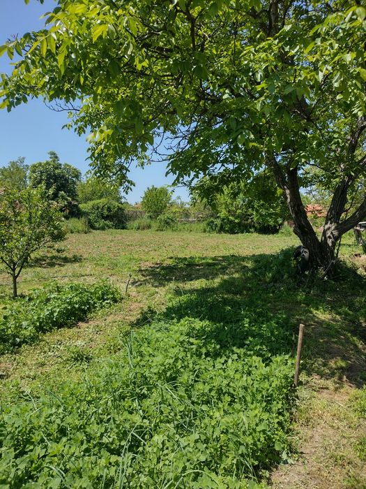 Продава се Къща в с. Константиново, Област Хасково - 100 кв.м за 419 €/кв.м - Снимка #5