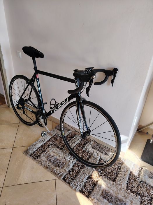 Cursiera Felt mărimea 58