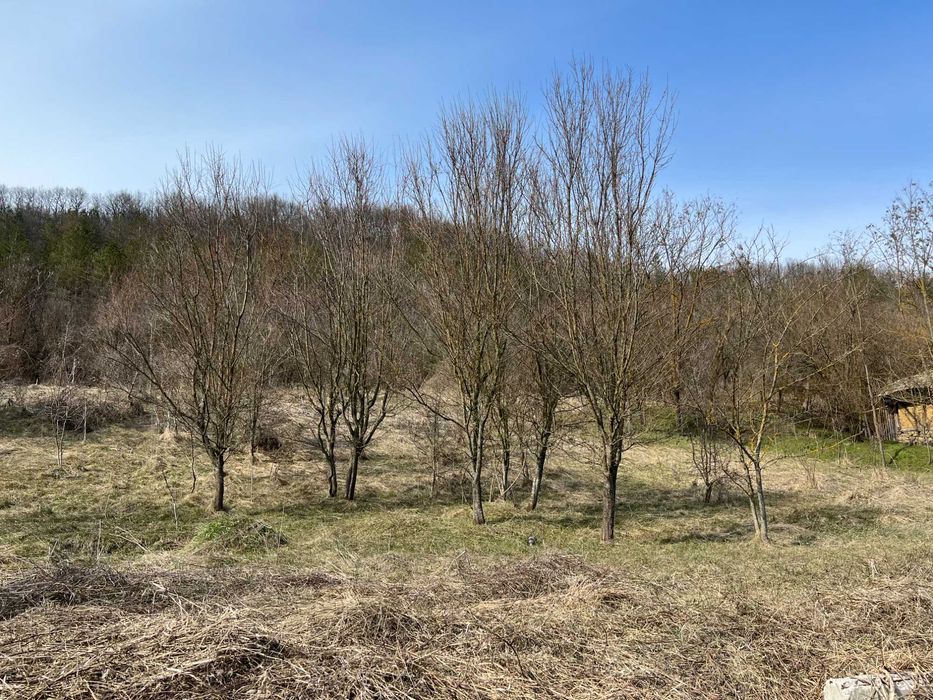 Продава се Парцел в Търговище, Вилна зона - 5700 кв.м за 6 €/кв.м - Снимка #1