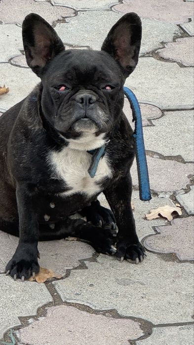 Порно атаға қалды