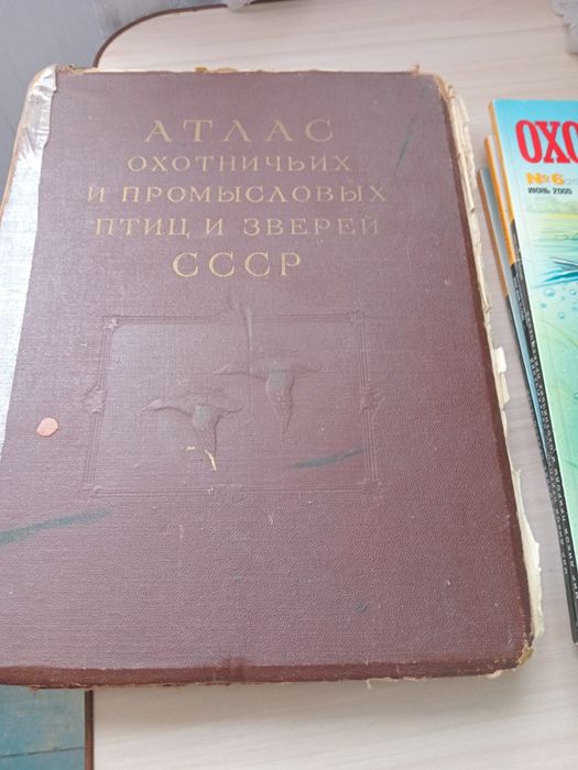 Роритет про охоту.