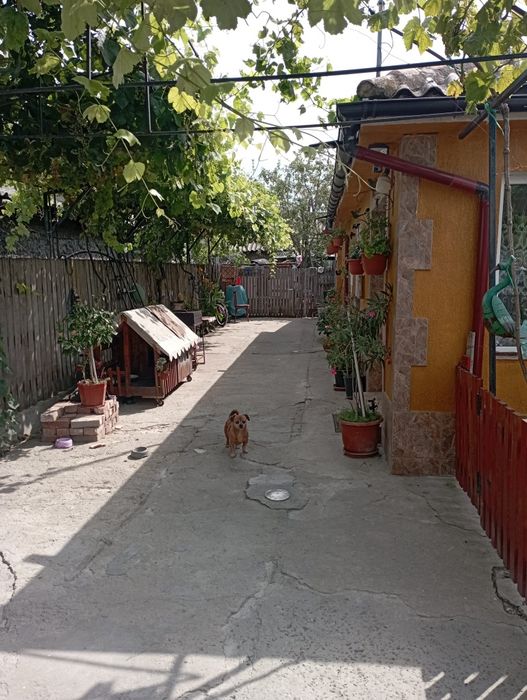 Casa de vânzare   Mangalia