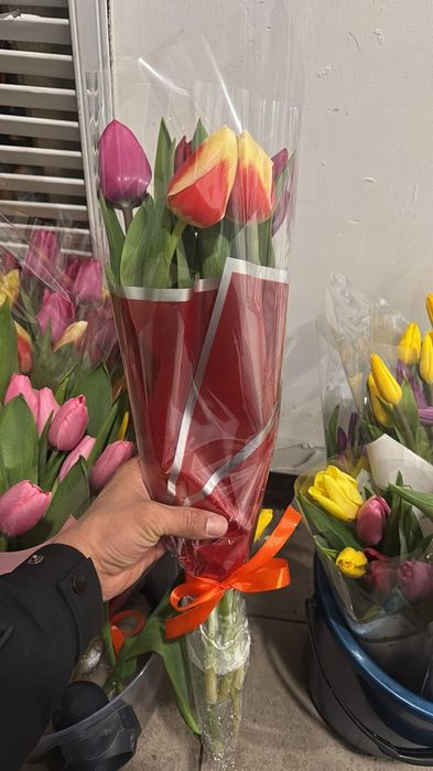 Оптом тюльпан есть