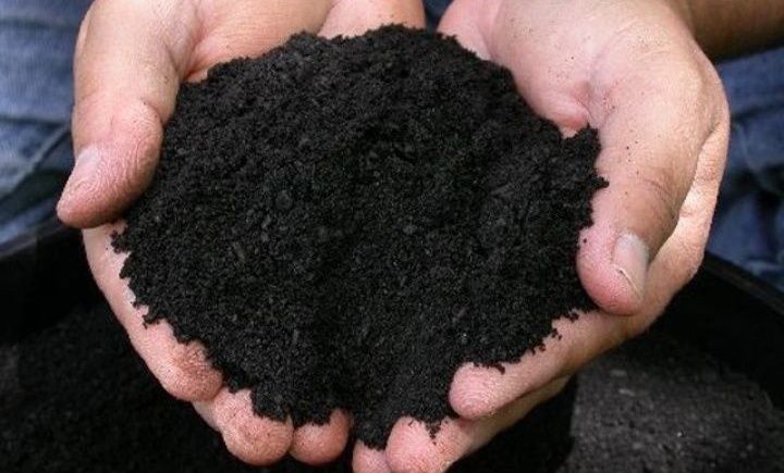 Чернозём. Перегной