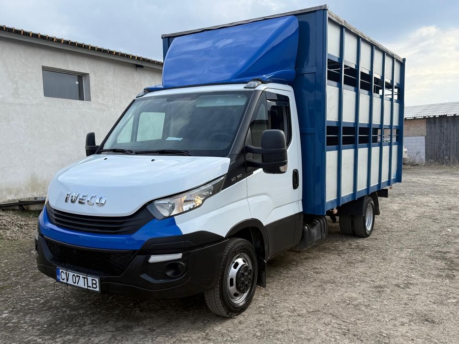 Iveco Daily Transport animale vii