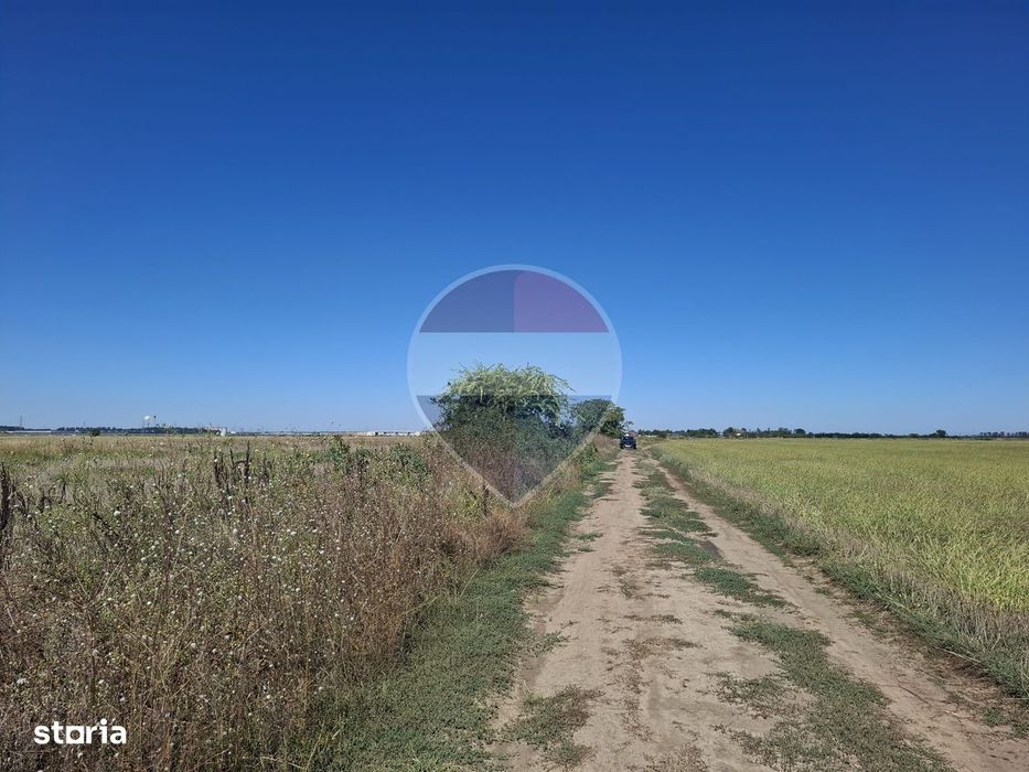 Vanzare teren extravilan 5.000mp - Pantelimon
