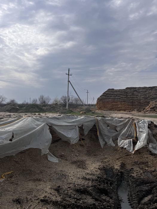 Силос для скота