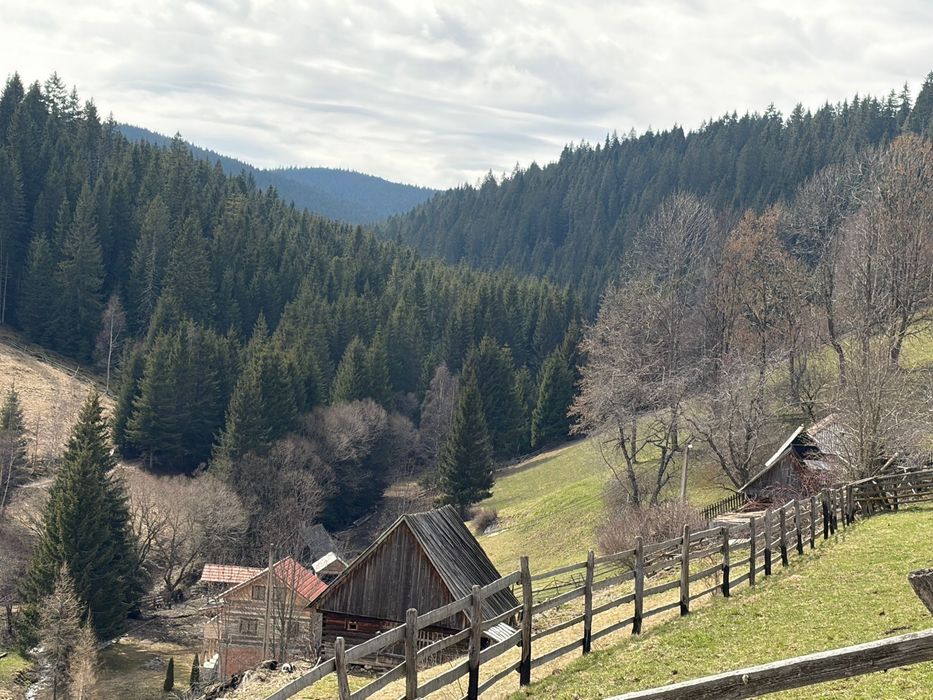 Vand parcele teren intravilan cu utilități Muntele Bocului