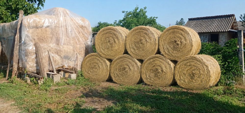 Vând baloți de iarbă și iarbă cu lucernă