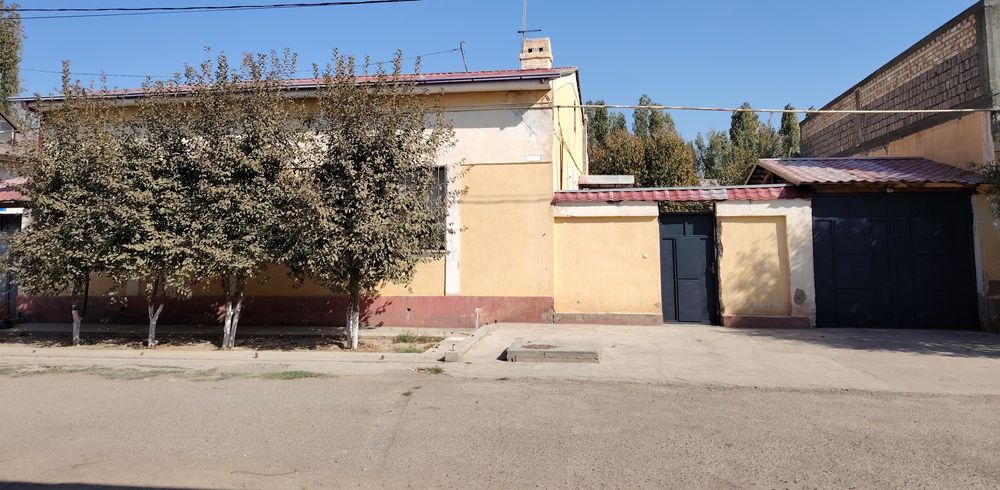 Namunali Kotej sotiladi