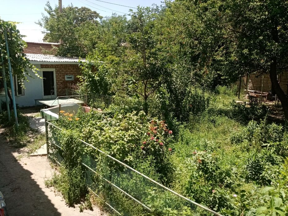 Продаётся дом г. Алмалык или меняю на квартиру в Ташкенте