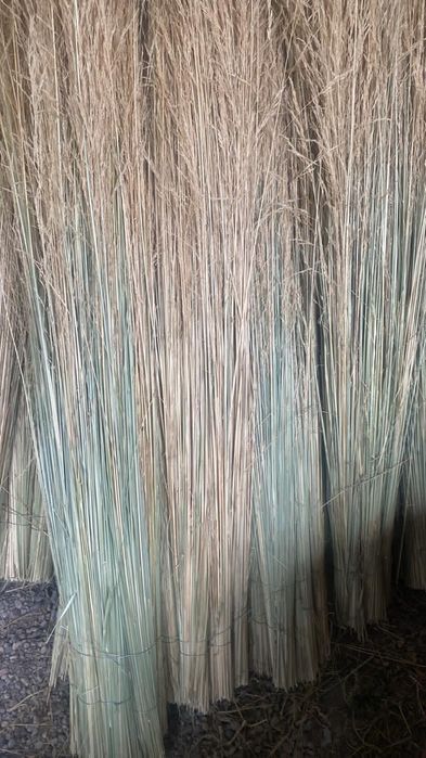 Метла чий, без черенка