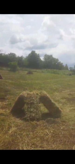 Vând baloți lucerna