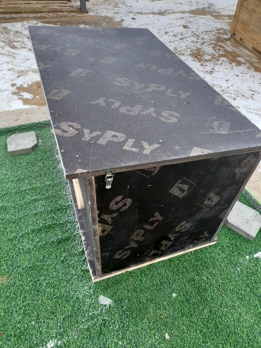 Иттің ұйымы салылады