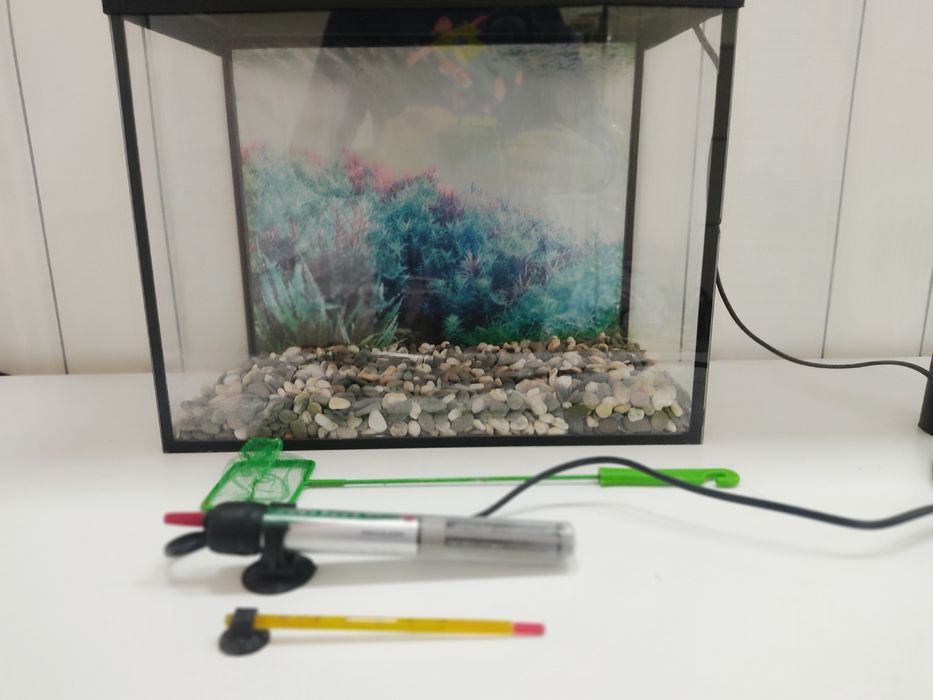 Аквариум для рыб дешево