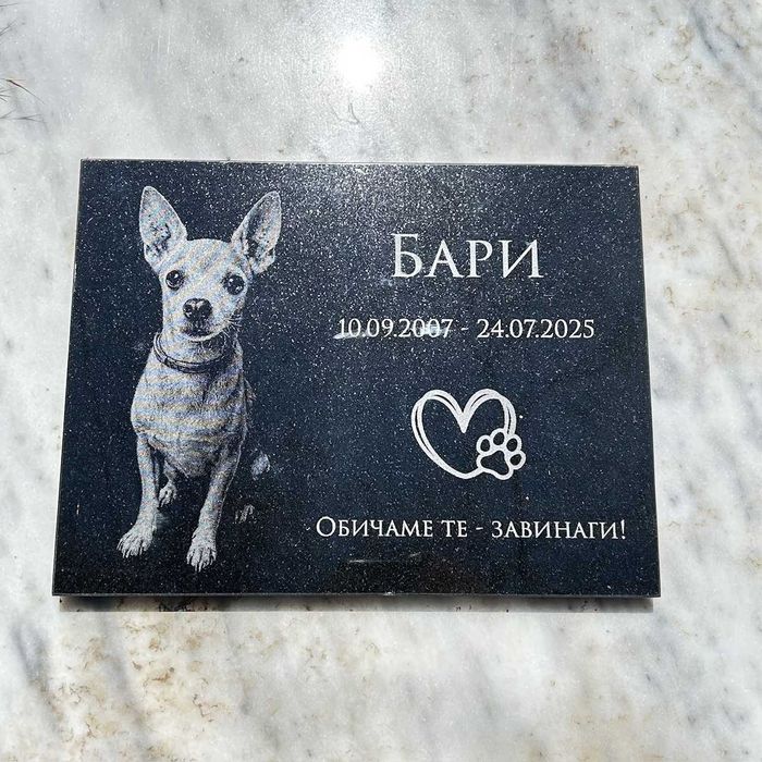 Персонализирана надгробна плоча за домашни любимци със снимка, Куче, котка